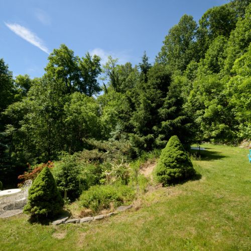 Spend time outdoors with a private fire pit, hammock, outdoor dining area, and plenty of space to relax among the trees.